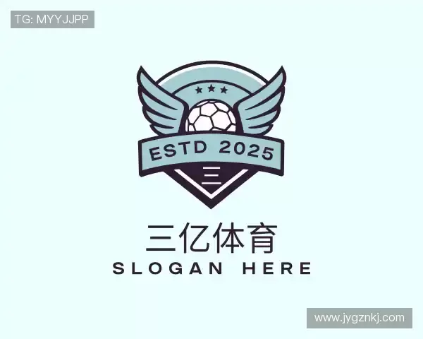 关于三亿体育